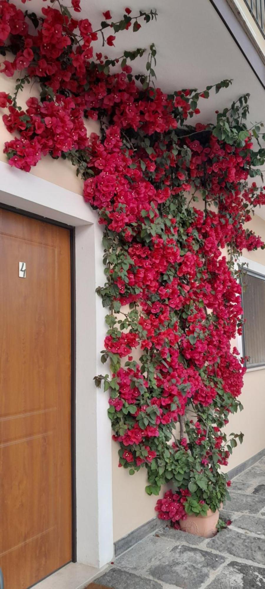 B&B Tenuta San Michele Capaccio Exterior foto